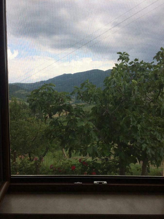 La Casa Nel Verde Castelmezzano Exteriér fotografie